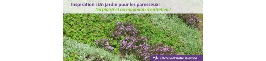 Sélection Jardin des paresseux  - Plantes avec minimum d'entretien