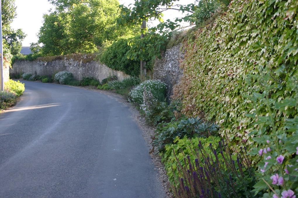 Pieds de murs Montreuil Bellay