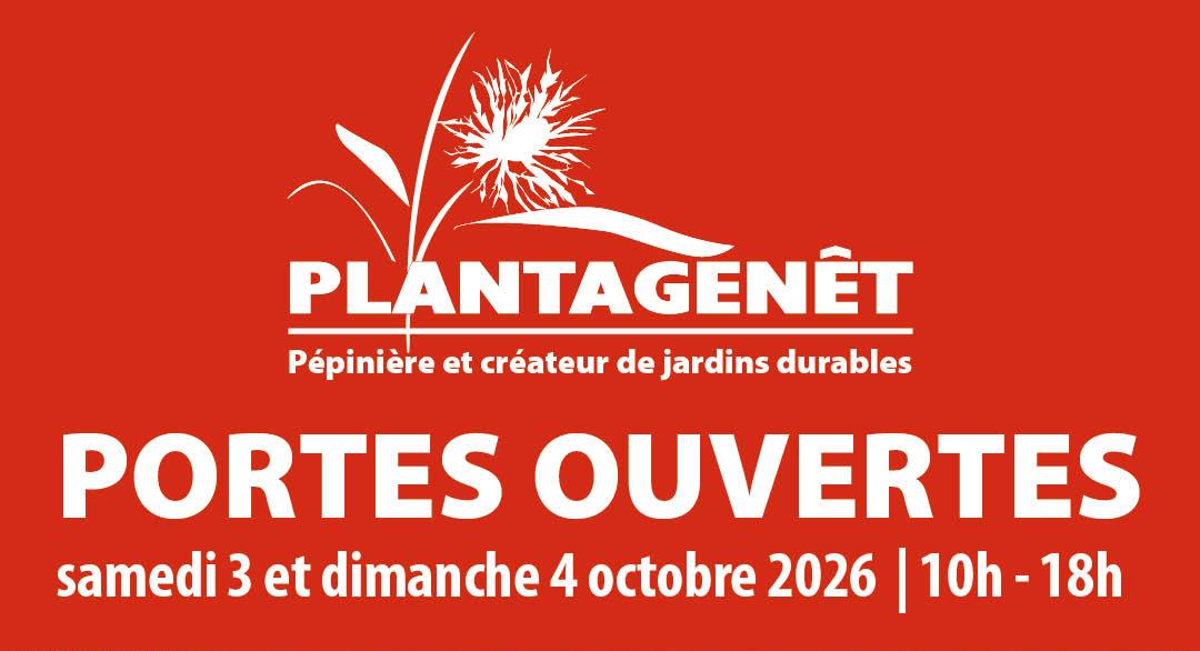 Fêtez la saison de plantation d'automne avec nous !