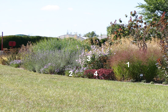 jardin chez Plantagenet - pépinière - Anjou