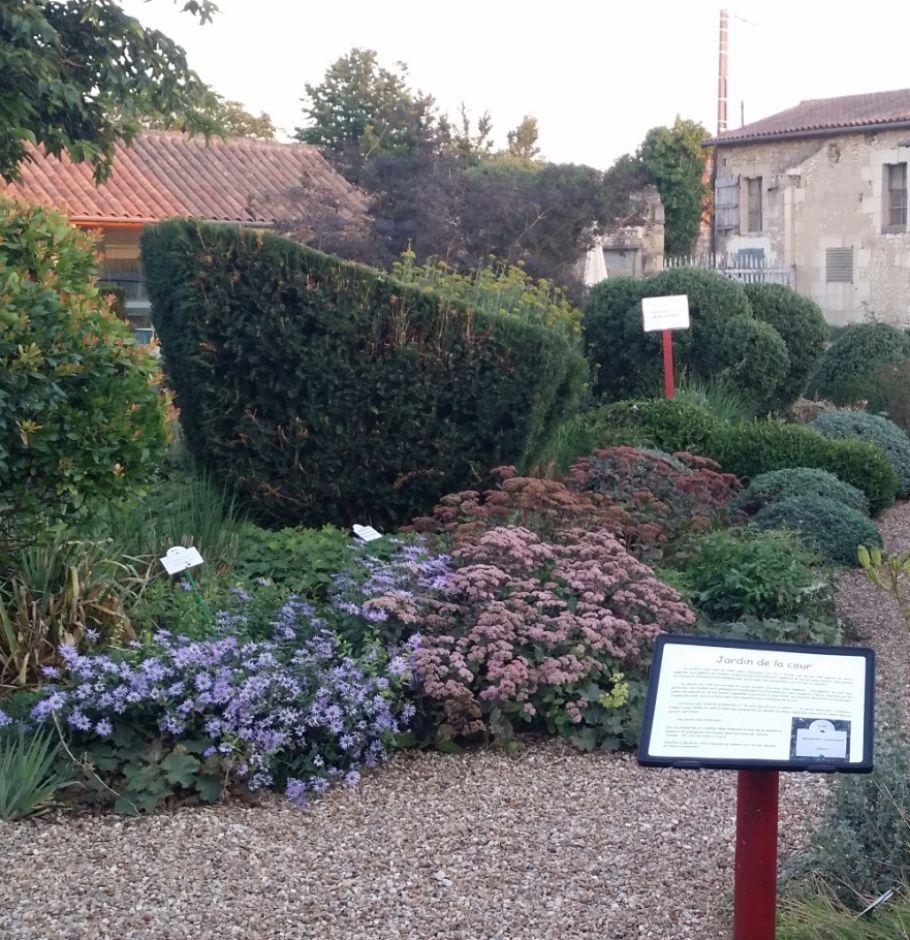 Accueil bureau Plantagenet Plantes et achat de plantes sur place