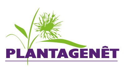 Plantagenêt Plantes